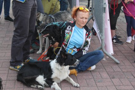 Fragment biegu Pucharu Polski w Dogtrekkingu w Wiśle